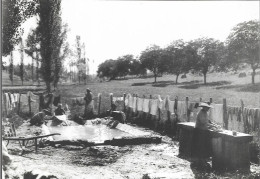 TRADITIONS + Carte Postale Neuve : Belvès - Le LAVOIR De La Grille, 1905 + Ed. FANLAC - Le Périgord D'Antoine Carcenac 2 - Autres & Non Classés