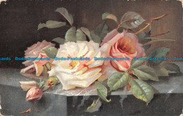 R117706 Roses. Hildesheimer - Monde