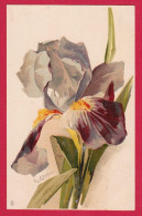 AE568 FANTAISIES FLEURS IRIS C.KLEIN RAPHAEL TUCK SERIE 6123 - Klein, Catharina