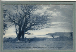 CPA (22) HILLION - Thème: ARBRE - Aspect Du Vieux Chêne Dans Le Baie D'Hillion En 1920 - Sonstige & Ohne Zuordnung