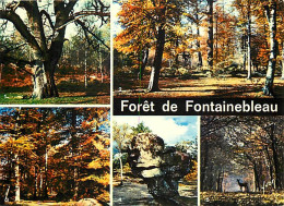 77 - Fontainebleau - Forêt De Fontainebleau - Multivues - CPM - Voir Scans Recto-Verso - Fontainebleau