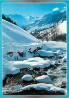 65 - Hautes Pyrénées - Paysage Hivernal - Hiver - Neige - CPM - Voir Scans Recto-Verso - Sonstige & Ohne Zuordnung