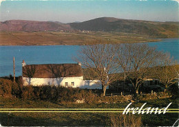 Irlande - Paysage Irlandais - A Traditional Irish Cottage - Carte Neuve - Ireland - CPM - Voir Scans Recto-Verso - Otros