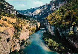 48 - Les Gorges Du Tarn - Les Détroits - CPM - Voir Scans Recto-Verso - Gorges Du Tarn