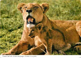 Animaux - Fauves - Lion - Lioness And Cub - CPM - Voir Scans Recto-Verso - Leeuwen