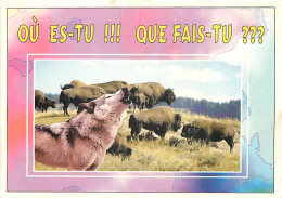 Animaux - Loups - CPM - Voir Scans Recto-Verso - Other & Unclassified