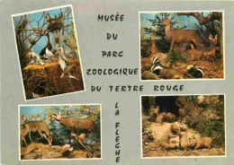 Animaux - Zoo De La Flèche - Parc Du Tertre Rouge - Multivues - CPM - Carte Neuve - Voir Scans Recto-Verso - Other & Unclassified