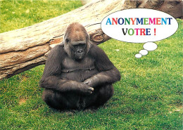 Animaux - Singes - Gorille - Carte à Message - Carte Neuve - CPM - Voir Scans Recto-Verso - Monkeys