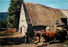 Animaux - Vaches - Limousin - Environs De Chaumeil - La Ferme Au Toit De Chaume - Attelage - Paysans - CPM - Voir Scans  - Mucche