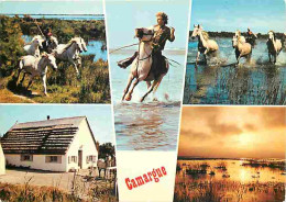 Animaux - Chevaux - Camargue - Multivues - Gardians - Voir Scans Recto Verso  - Paarden