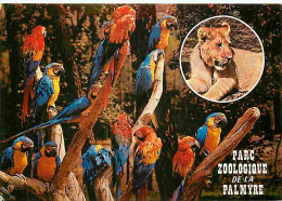 Animaux - Oiseaux - Perroquets - Parc Zoologique De La Palmyre - CPM - Voir Scans Recto-Verso - Oiseaux