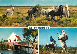 Animaux - Chevaux - Camargue - Multivues - Gardians - Flamme Postale - CPM - Voir Scans Recto-Verso - Paarden