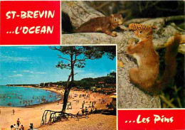 Animaux - St Brevin L'Océan - Ecureuils - CPM - Voir Scans Recto-Verso - Autres & Non Classés