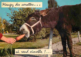 Animaux - Anes - Carte Humoristique - Flamme Postale - CPM - Voir Scans Recto-Verso - Esel