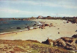 Brignogan   G30   CPSM 10X15        Plage Des Chardons Bleus - Brignogan-Plage