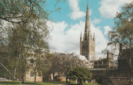 Postcard - Norwich Cathedral From The Upper Close - Card No.Kn 216  - Very Good - Unclassified
