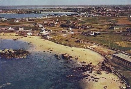 Brignogan   G34   CPSM 10X15         La Plage Du Chardon Bleu ( Défaut ) - Brignogan-Plage