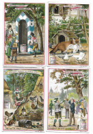 S 448, Liebig 6 Cards, Images à Chercher 16° (backsides Have Small Damage) (ref B9) - Liebig