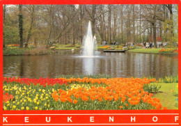 CPM -KEUKENHOF Indexation Machine De Tri* TBE - *2 Scans - Lisse