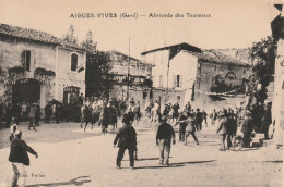 30/ Aigues Vives - Arrivée Des Taureaux - - Aigues-Vives