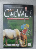 Cheval! - L'encyclopédie (pc Cd Room) - Sonstige & Ohne Zuordnung