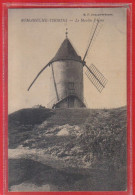 Carte Postale 71. Romanèche-Thorins  Le Moulin  Très Beau Plan - Autres & Non Classés