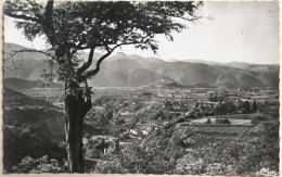 Carte Postale : 66 : FINESTRET : Vallée De La Lentilla Et Plaine De Vinça - Other & Unclassified
