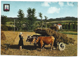 TIPICO RINCON GALLEGO / CORNER TYPICAL GALICIAN.- LA CORUÑA.- ( ESPAÑA ) - La Coruña