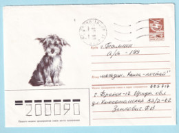 USSR 1986.0805. Puppy. Prestamped Cover, Used - 1980-91