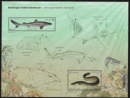 BELGIUM 2024 Europa CEPT. Underwater Fauna And Flora - Fine S/S MNH - Neufs