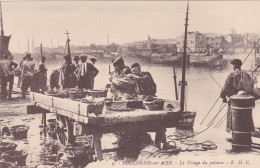 Postcard - Boulogne-sur-MER - Le Triage Du Poisson - E.H.C - VG - Zonder Classificatie