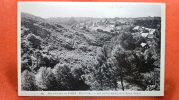 CPA (56) Rochefort En Terre. Les Roches Noires.   (8A.335) - Rochefort En Terre