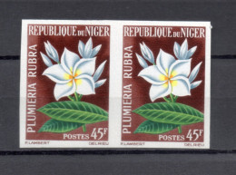 NIGER  N° 141  NON DENTELE EN PAIRE   NEUF SANS CHARNIERE  COTE ? €    FLEUR FLORE - Niger (1960-...)