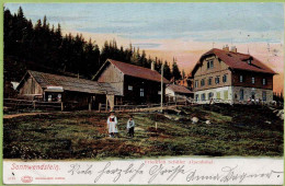 Sonnwendstein. Friedrich Schüler, Alpenhotel - Semmering