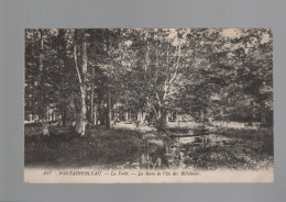 CPA - 77 - N°157 - Fontainebleau - La Forêt - La Mare De L'Ile Des Billebauts - Circulée En 1915 - Fontainebleau