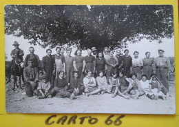 Carte Photo Groupe De Personnages Vigne? Vigneron? à Localiser Mulet Cueillette Fruits Agriculture Métiers Espagne? 66? - Autres & Non Classés