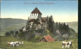 10576690 Stein Rhein Stein Rhein Schloss Hohenklingen X 1913 Stein Rhein - Sonstige & Ohne Zuordnung