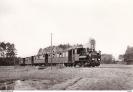 Personenzug Mit Lok 99 5704 - Treni