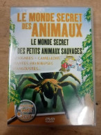 Les Petits Animaux Sauvages - Other & Unclassified