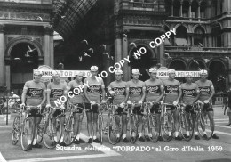 PHOTO CYCLISME REENFORCE GRAND QUALITÉ ( NO CARTE ), GROUPE TEAM TORPADO 1959 - Ciclismo