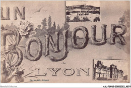 AALP6-69-0466 - LYON - Un Bonjour De Lyon  - Lyon 1