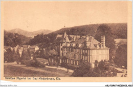 ABLP11-67-1026 - NIEDERBRONN LES BAINS - Schloss Jagertal - Otros & Sin Clasificación