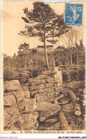 ABLP11-67-0963 - MONT-SAINTE-ODILE - Le Mur Paien - Sainte Odile