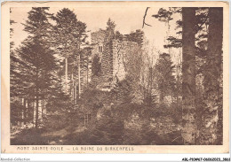 ABLP10-67-0875 - Le MONT-SAINTE-ODILE - La Ruine Du Birkenfels - Sainte Odile