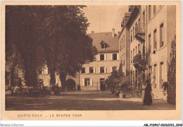 ABLP10-67-0869 -  MONT-SAINTE-ODILE - La Grande Cour - Sainte Odile