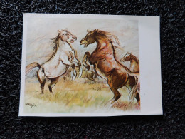 Illustrateur Cefischer, Chevaux Sauvages   (A21) - Paarden