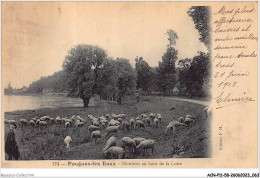 ACNP11-58-0944 - POUGUES-LES-EAUX - Moutons Au Bord De La Loire  - Pougues Les Eaux