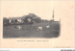 ACNP9-58-0798 - Environs De MOULINS-ENGILBERT - Château De Montjoux - Moulin Engilbert