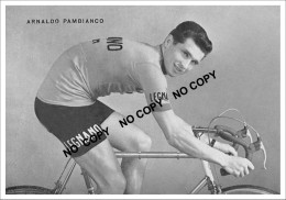 PHOTO CYCLISME REENFORCE GRAND QUALITÉ ( NO CARTE ), ARNALDO PAMBIANCO TEAM LEGNANO 1959 - Wielrennen