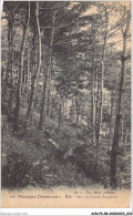 ACNP6-58-0477 - Paysages CLAMECYCO'S - été - Dans Les Bois Du Trocadéro - Clamecy